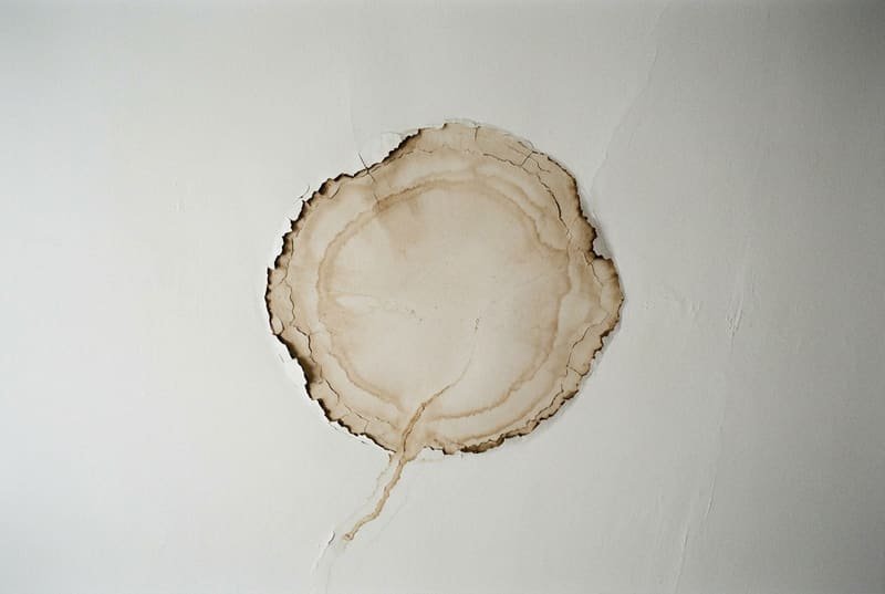 Trace d'eau brune et cernée sur un plafond blanc, la peinture soulevée au bord de l'auréole